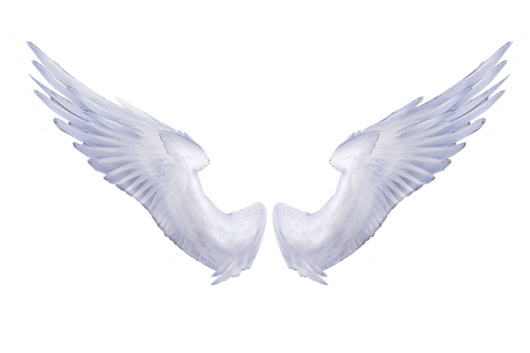 Angel Wings PNG