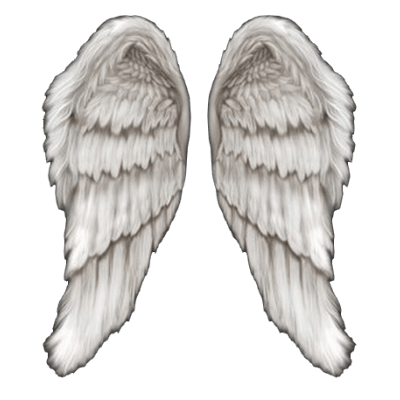 Angel Wings PNG