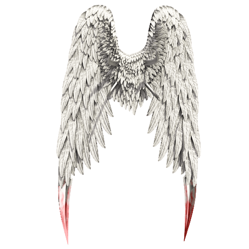 Angel Wings PNG