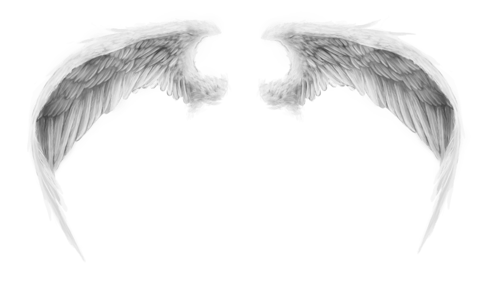 Angel Wings PNG