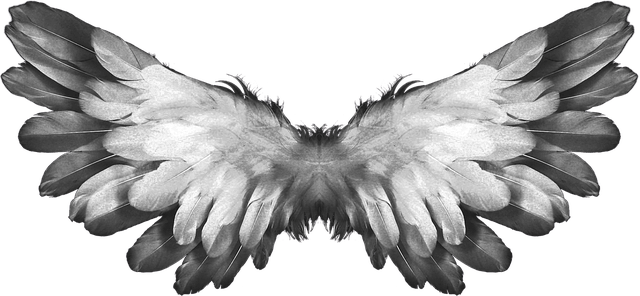 Angel Wings PNG