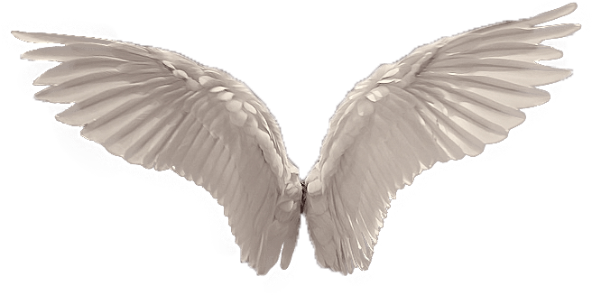 Angel Wings PNG