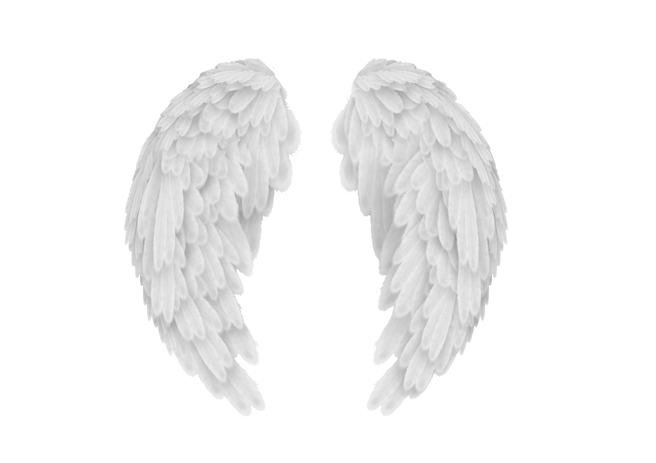 Angel Wings PNG