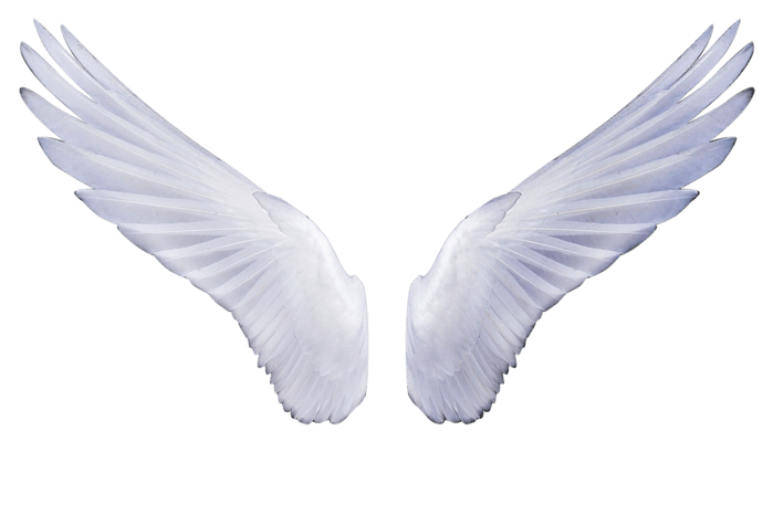 Angel Wings PNG