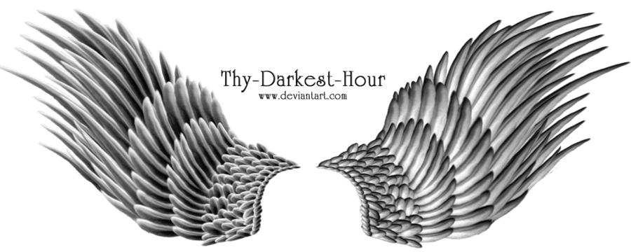 Angel Wings PNG
