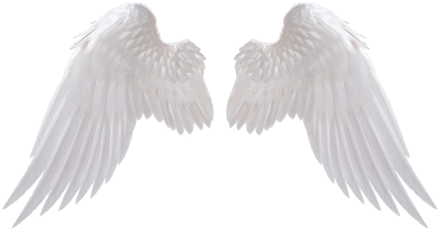 Angel Wings PNG