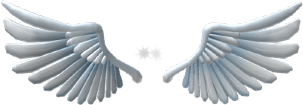 Angel Wings PNG