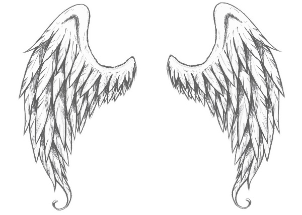 Angel Wings PNG