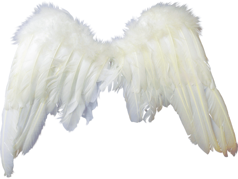 Angel Wings PNG