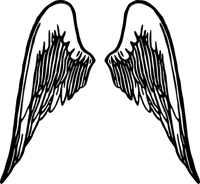 Angel Wings PNG