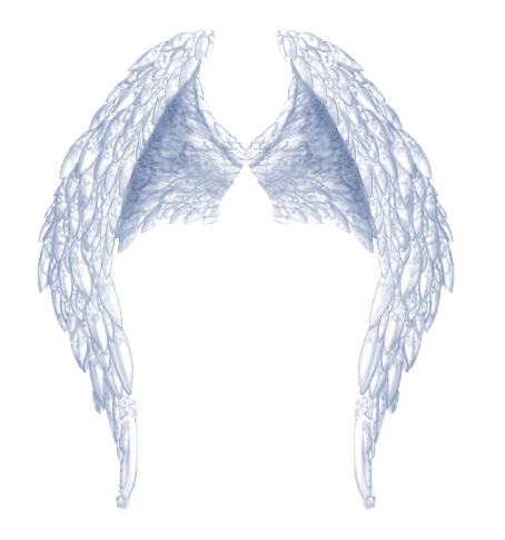 Angel Wings PNG
