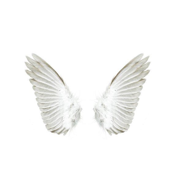 Angel Wings PNG