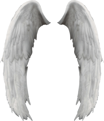 Angel Wings PNG