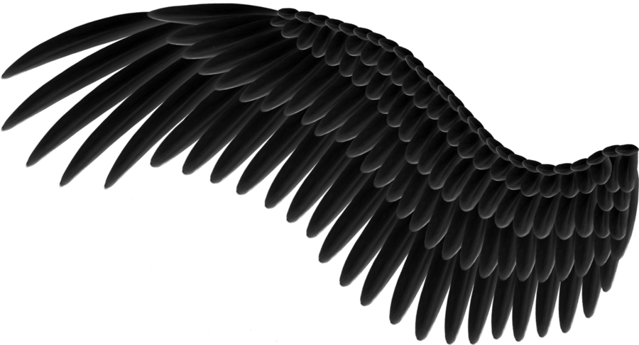 Angel Wings PNG