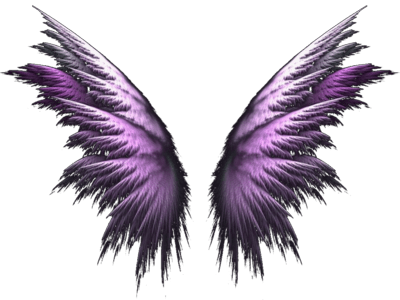 Angel Wings PNG
