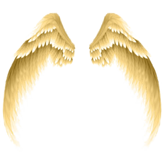 Angel Wings PNG