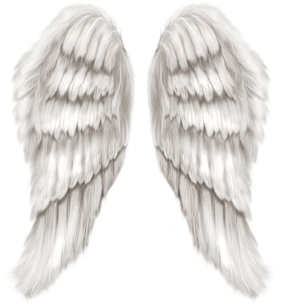 Angel Wings PNG