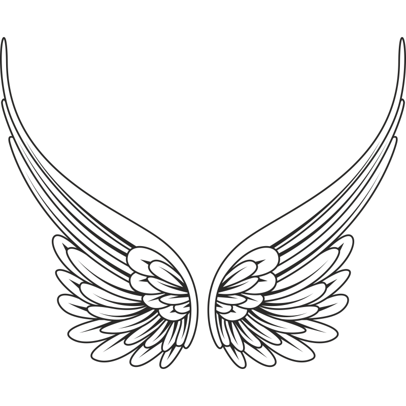 Angel Wings PNG