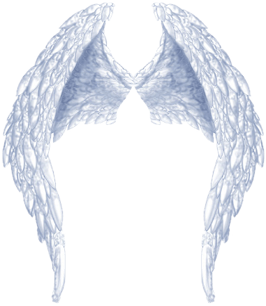 Angel Wings PNG