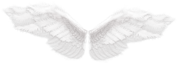 Angel Wings PNG