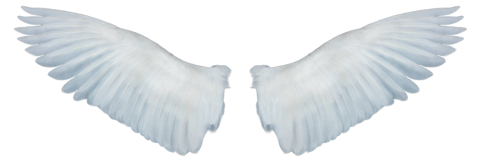Angel Wings PNG