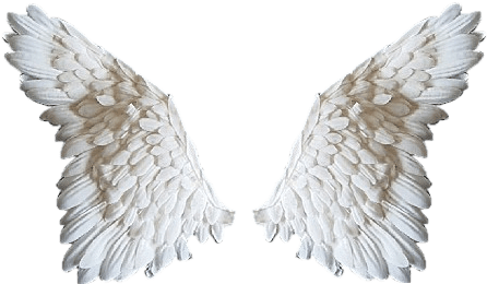 Angel Wings PNG