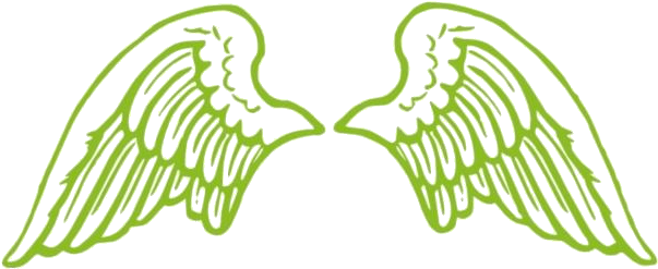 Angel Wings PNG
