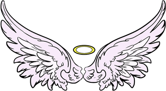 Angel Wings PNG