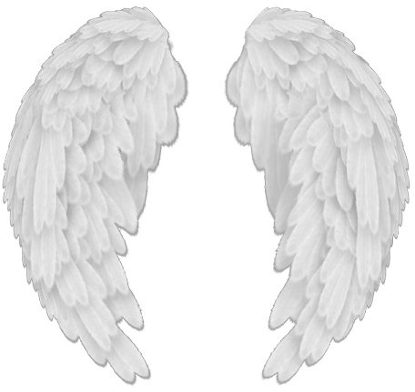 Angel Wings PNG