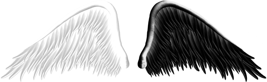 Angel Wings PNG