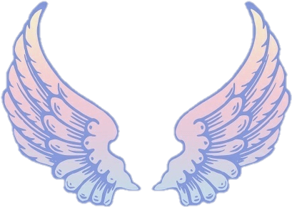 Angel Wings PNG