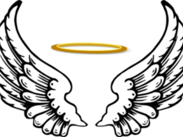 Angel Wings PNG