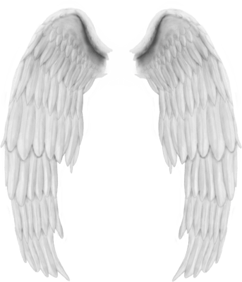 Angel Wings PNG