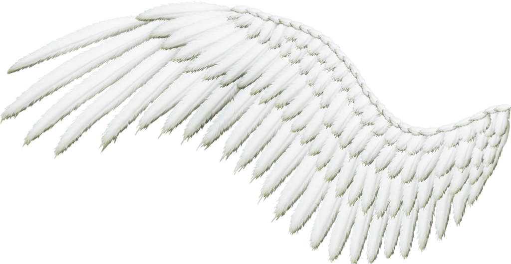 Angel Wings PNG