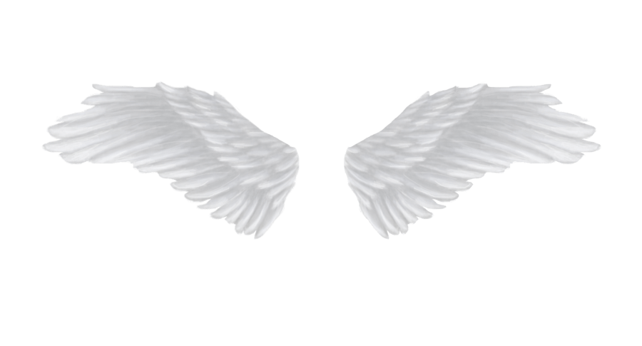 Angel Wings PNG