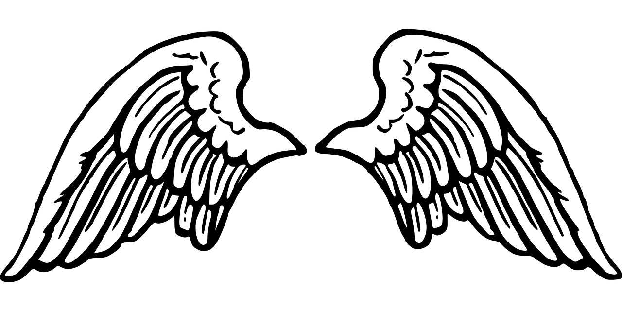 Angel Wings PNG