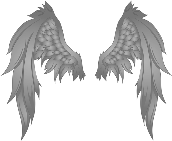 Angel Wings PNG
