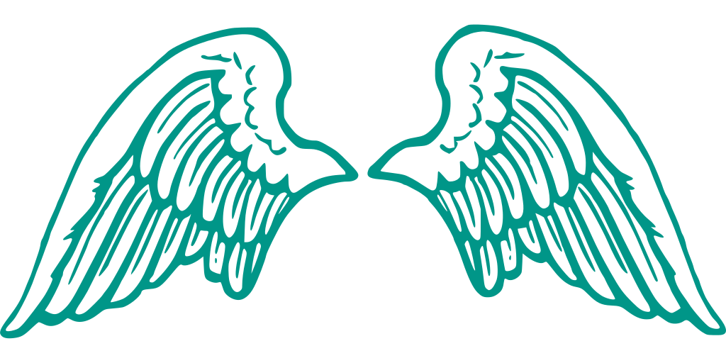 Angel Wings PNG