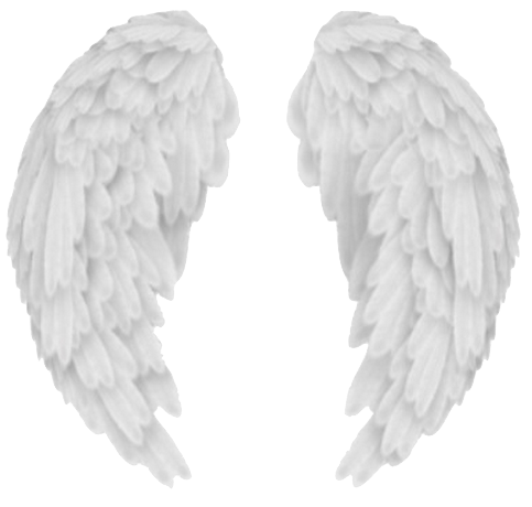 Angel Wings PNG