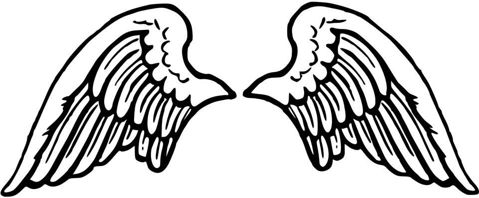 Angel Wings PNG