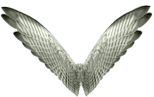 Angel Wings PNG