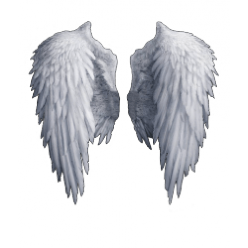 Angel Wings PNG