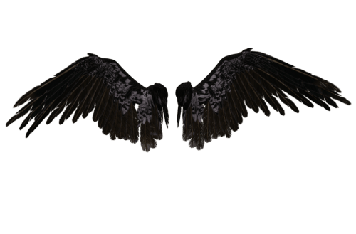 Angel Wings PNG
