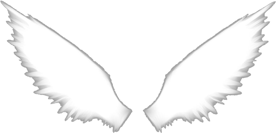 Angel Wings PNG