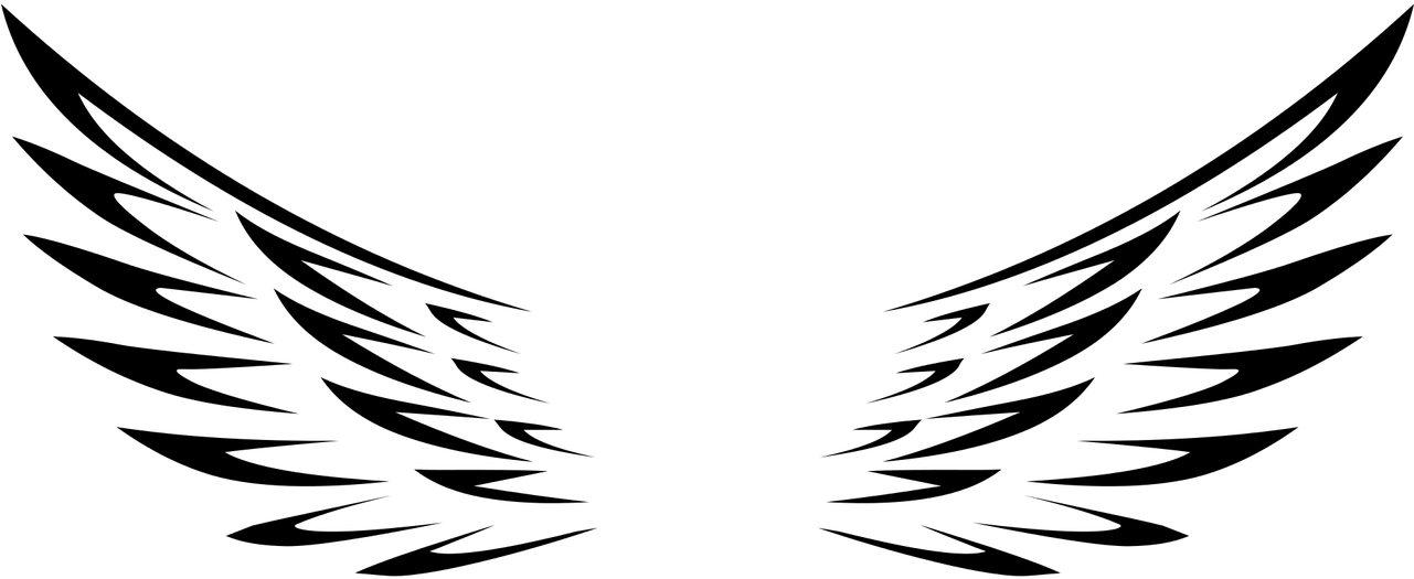 Angel Wings PNG