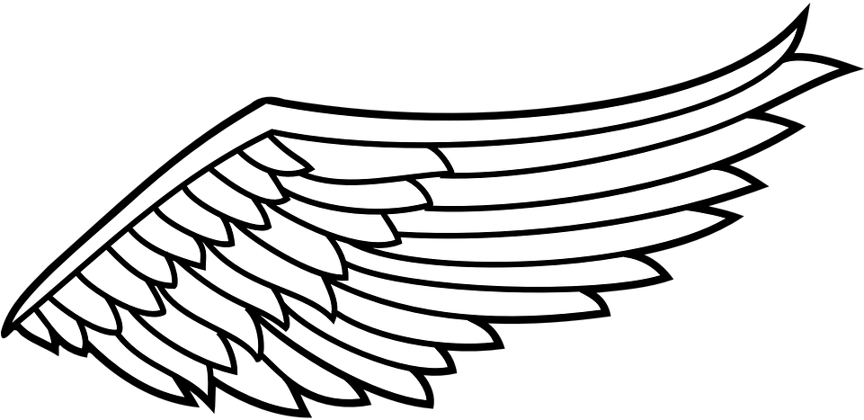 Angel Wings PNG