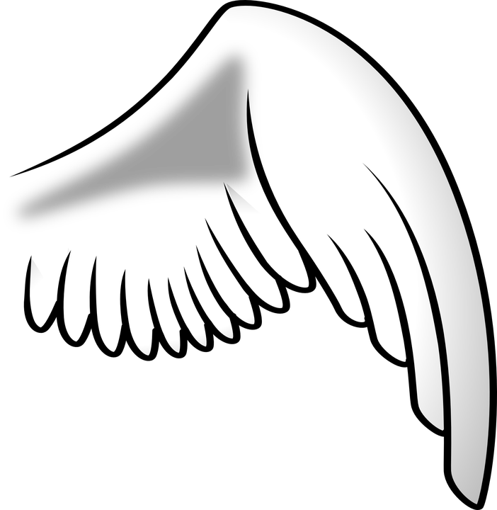 Angel Wings PNG