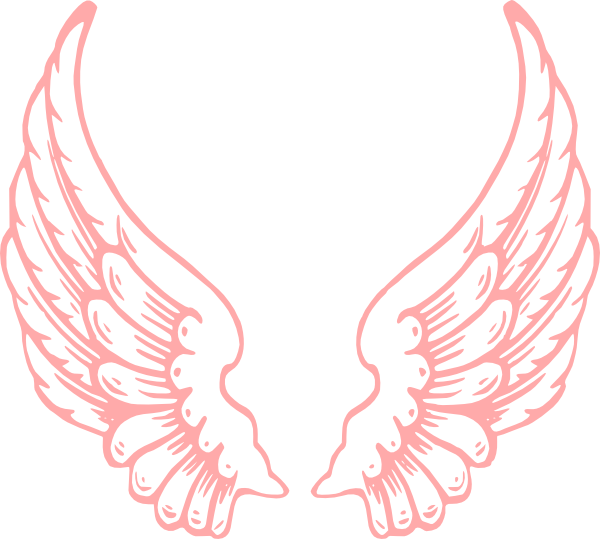 Angel Wings PNG