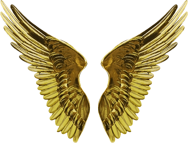 Angel Wings PNG