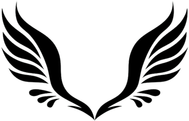 Angel Wings PNG